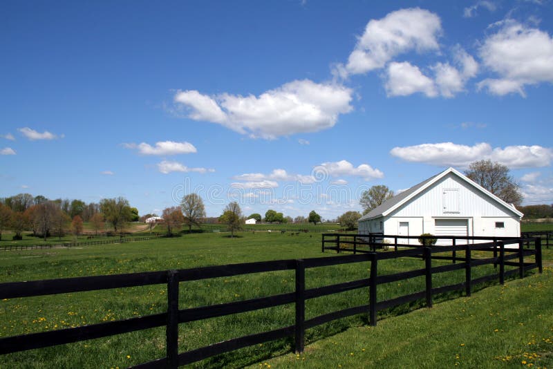 Beautiful scenic horse farm landscape in rural New York