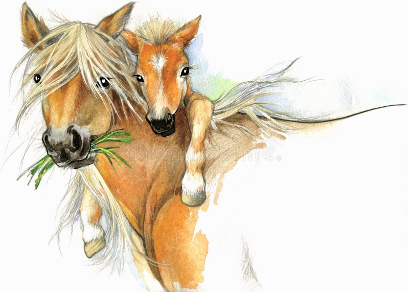 Horse and foal motherhood. background greetings illustration vector illustration Horse and foal motherhood. background greetings illustration vector illustration