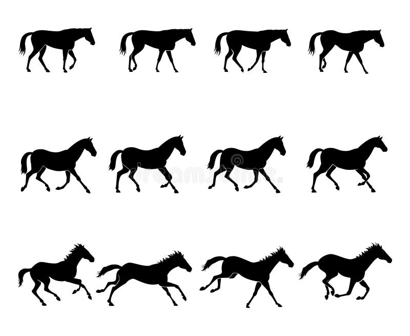 Horse gaits