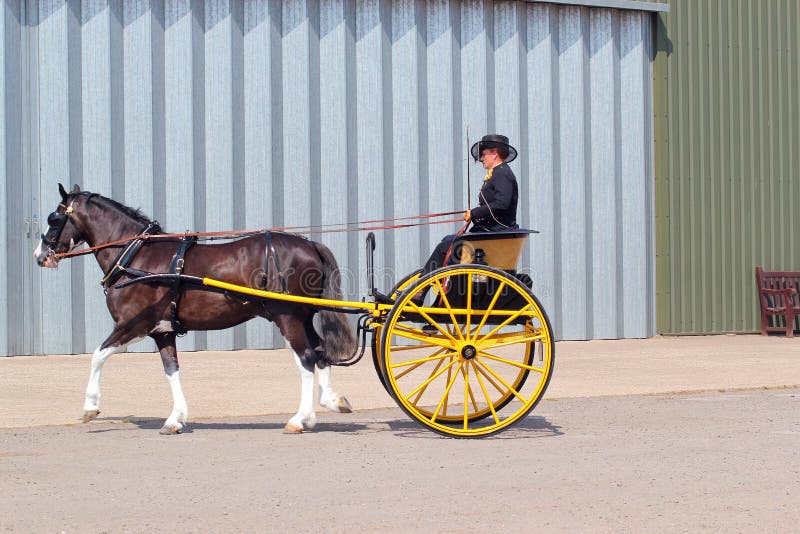 Mark Stryker Old West Theme (Characters) - Page 5 Horse-gig-pony-trap-single-driver-single-was-taken-bedfordshire-county-show-united-32734764