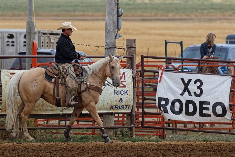 Родео корова аренда Москва. The rodeo is a really exciting event