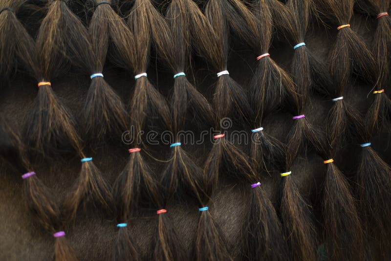 1 inch blue horse hair braid suppliers - wide 4