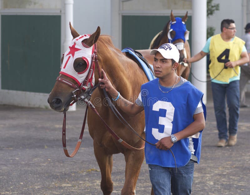 Horse Handler Maintaining Hurdle Field Stock Image Image of obstacle