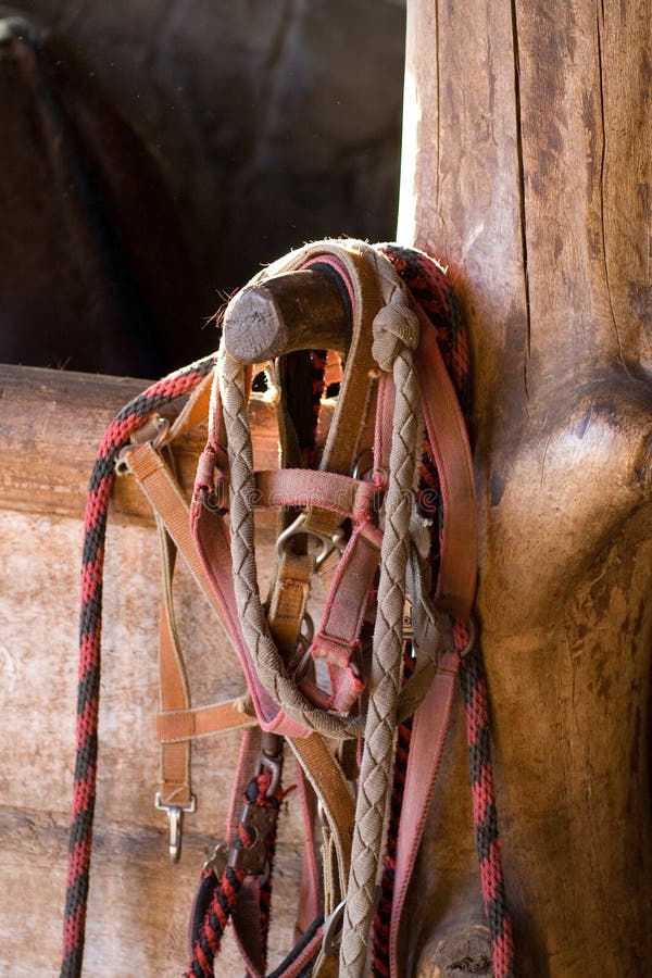 Horse harness and stable box