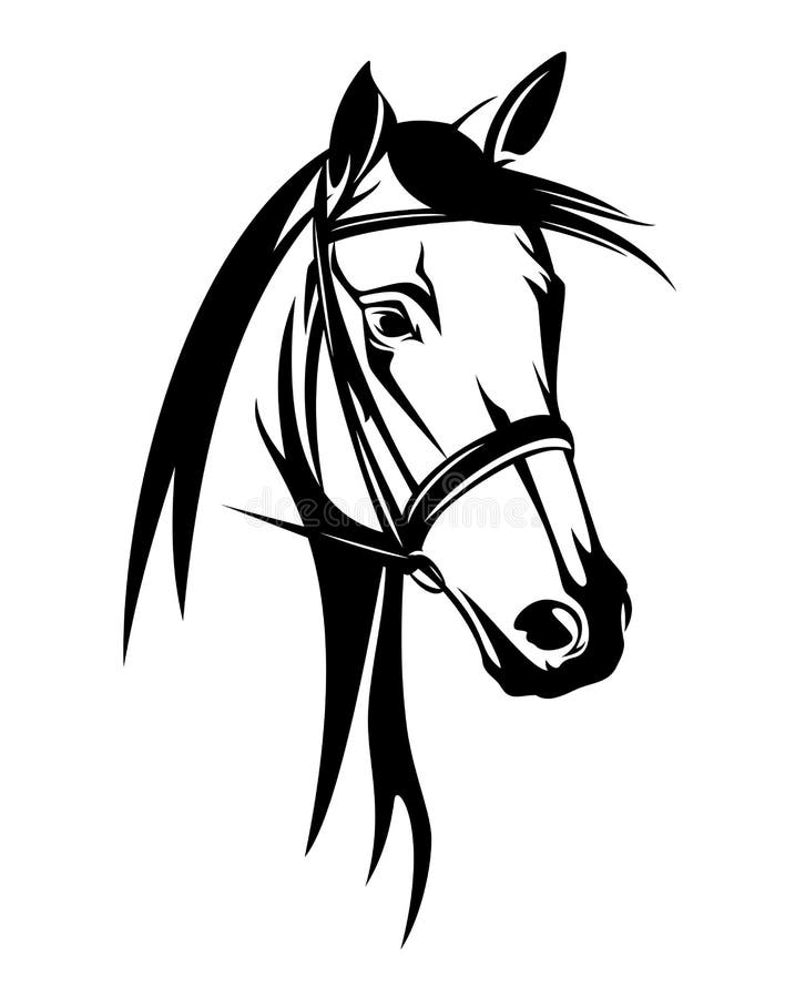 horses face black and white clipart