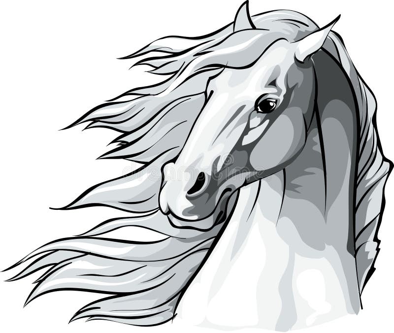 Horse Head with Mane Flowing in the Wind. Stock Vector Illustration