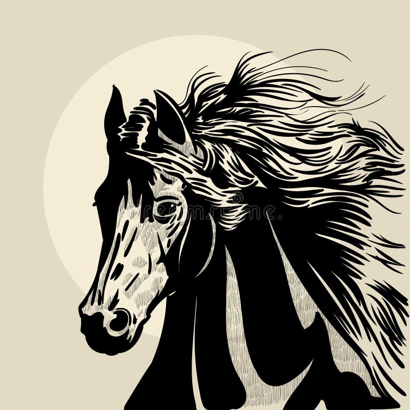 Horse head with a mane. Hand drawn illustration. Hand sketch.