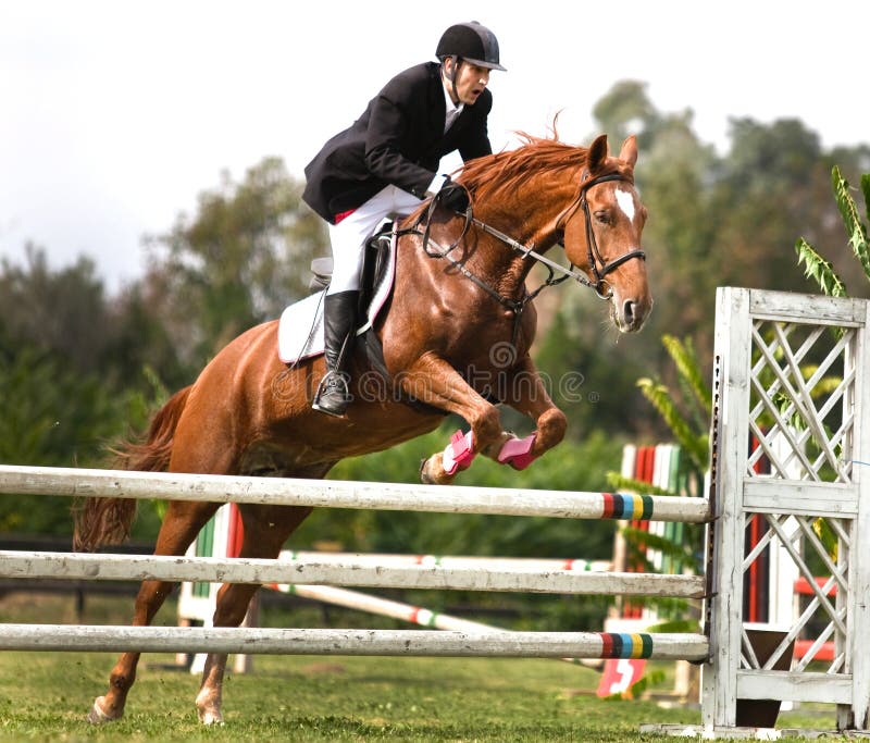 show jumping. man riding horse and jumping. show jumping. man riding horse and jumping