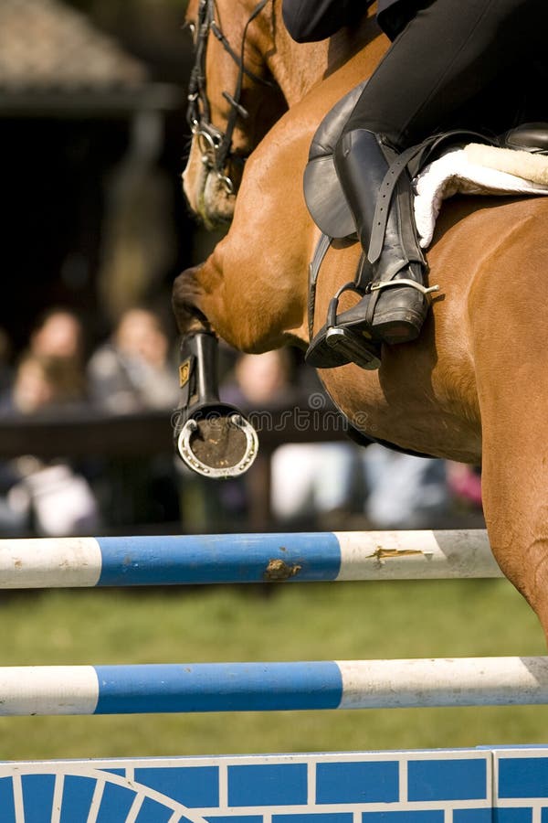 Horse Jumping 011