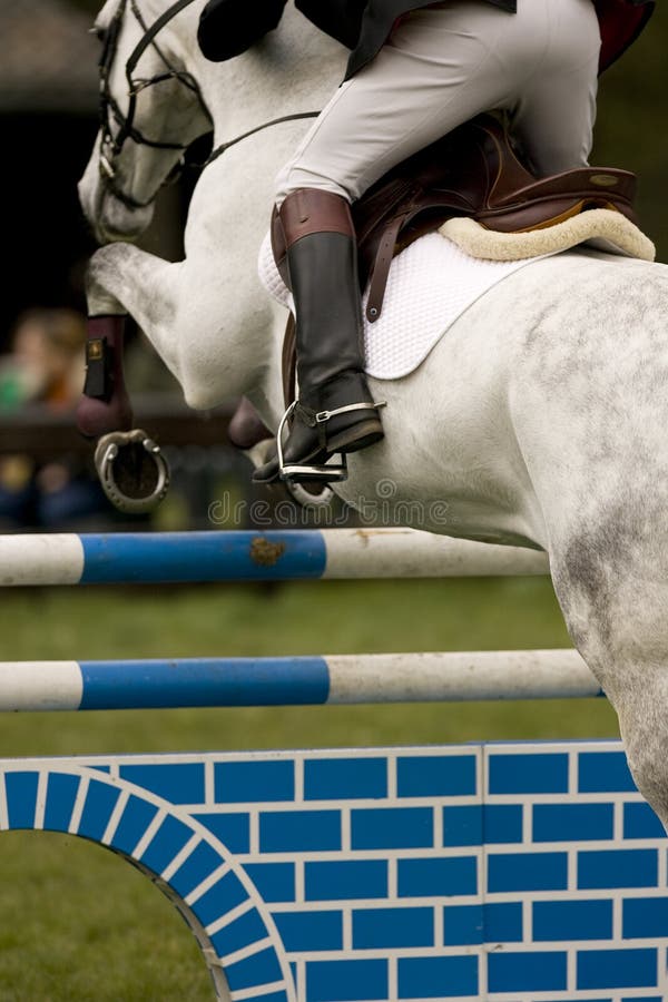 Horse Jumping 021