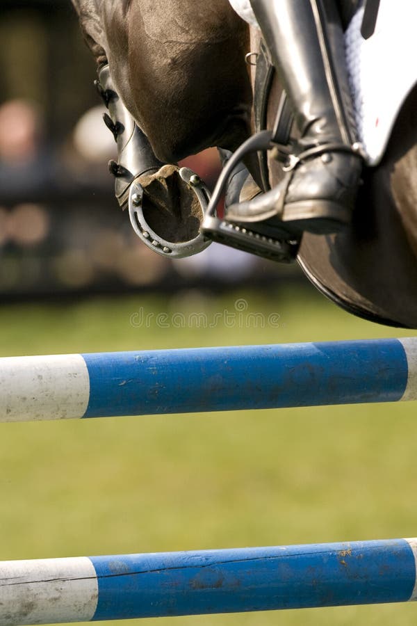 Horse Jumping 024