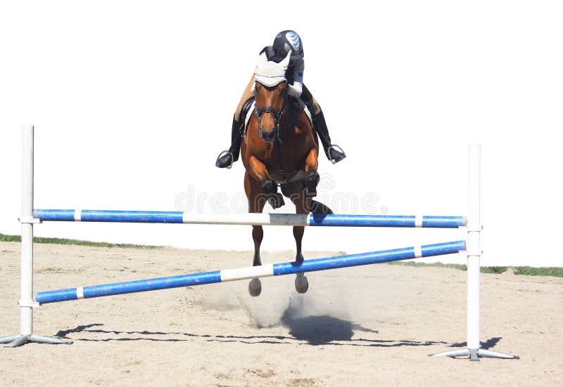 Horse jumping, isolated