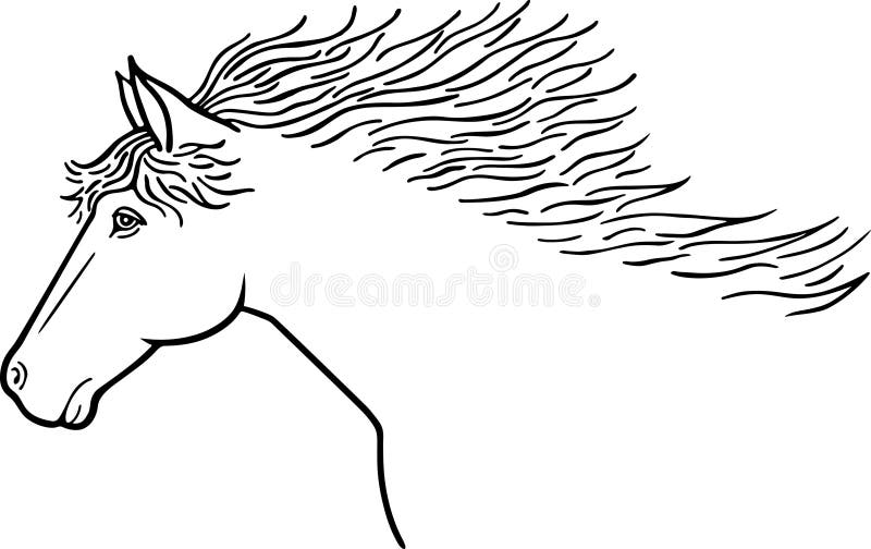 Horse line drawing stock vector. Illustration of animal 62168729