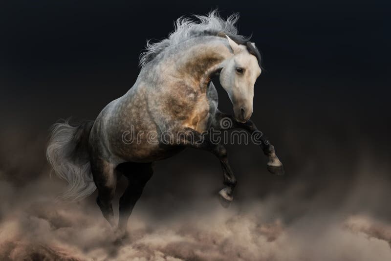 Horse with long mane