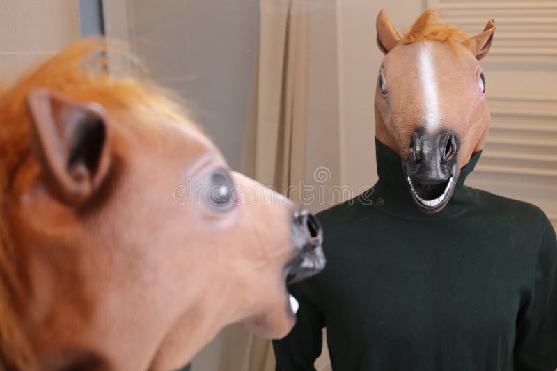 Horse Looking a Mirror Reflection Stock Photo Image of funny, alone