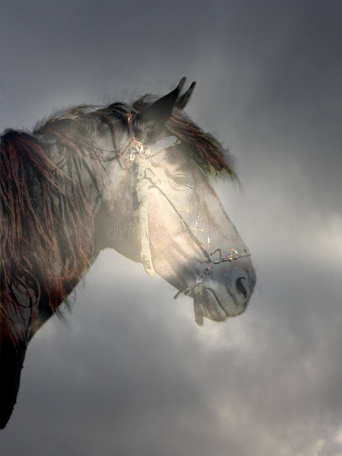 Horse in the magic forest stock image. Image of beauty 86188681