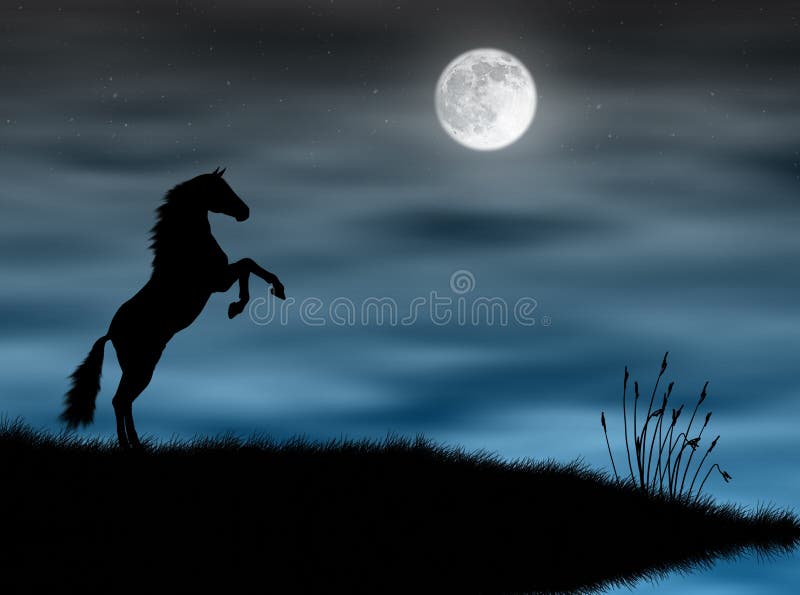 Horse in the moonlight