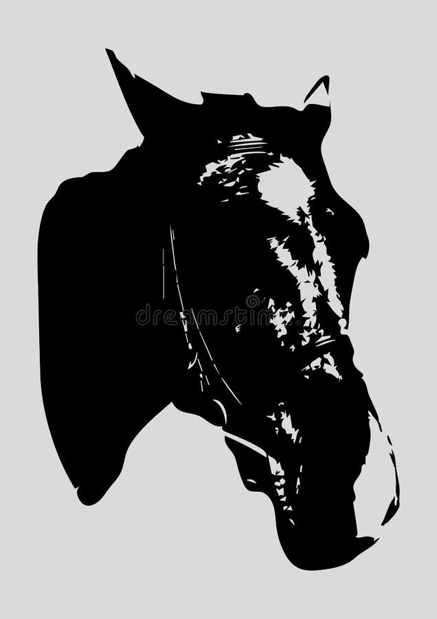 Horse muzzle profile stock vector. Illustration of arabic 49801296