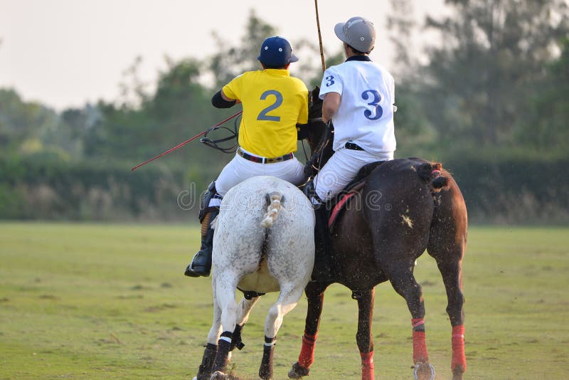 The Horse Polo Player and Horse are Battle in Polo Match Stock Image