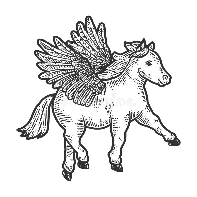 Horse pony with wings. Scratch board imitation. Black and white hand drawn image. Engraving vector illustration