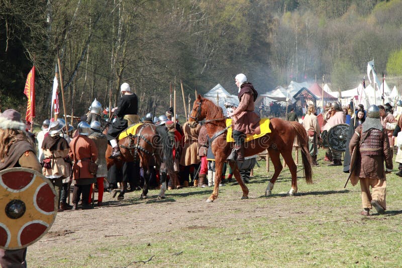 Horse preparing for the battle royalty free stock images