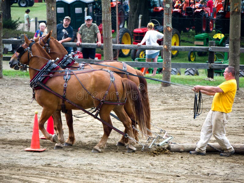 Horse Pulling Competition editorial photography. Image of farmers
