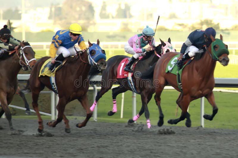 14.674 fotos de stock e banco de imagens de Horse Racing Back