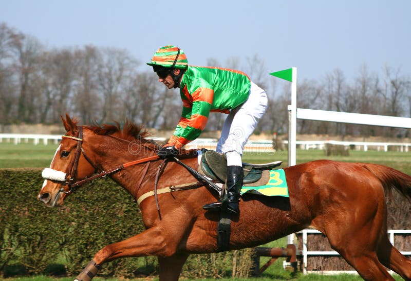 Horse race stock images
