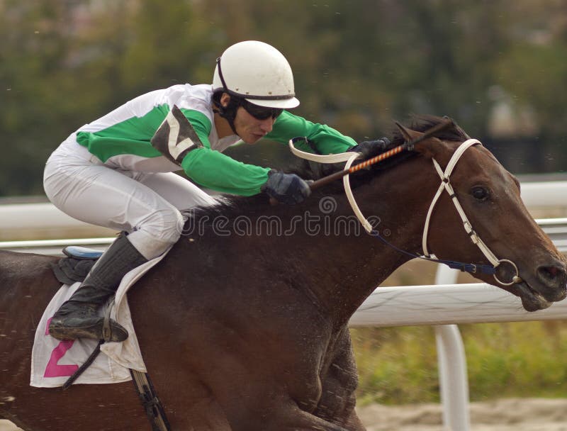 A racehorse and jockey cross the finish line first in a horse race.