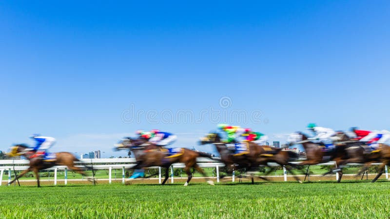 Horse Racing Speed Motion Blur Grass Track