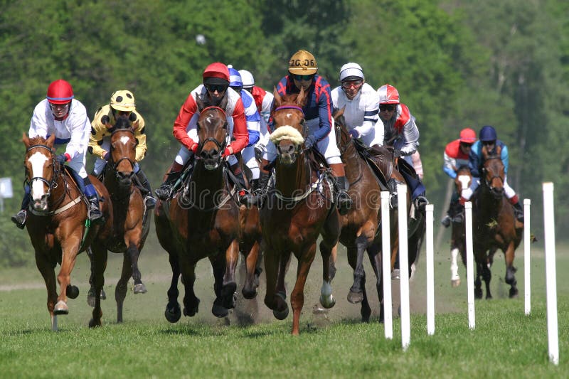 Caballos correr arriba sobre el completar línea.