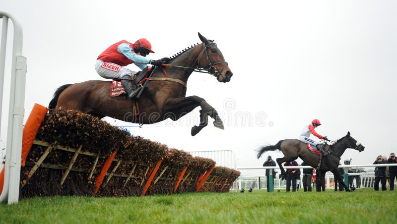 Big Bucks Race Horse Photos Free Royalty Free Stock Photos From Dreamstime