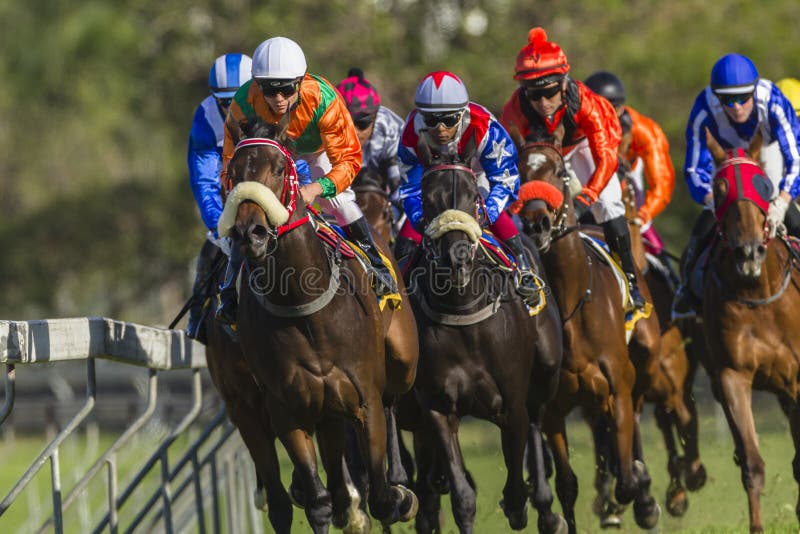 Horse Racing Action