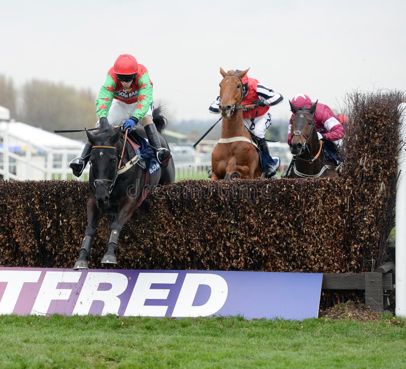 Balder succes (green-red) jumps the last on his way to winning at aintree,liverpool 5-4-14. Balder succes (green-red) jumps the last on his way to winning at aintree,liverpool 5-4-14