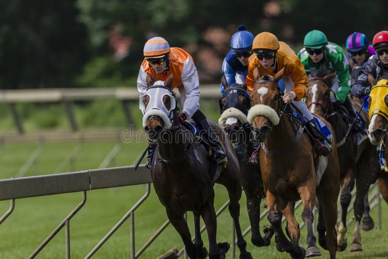 Horse Racing Close Action