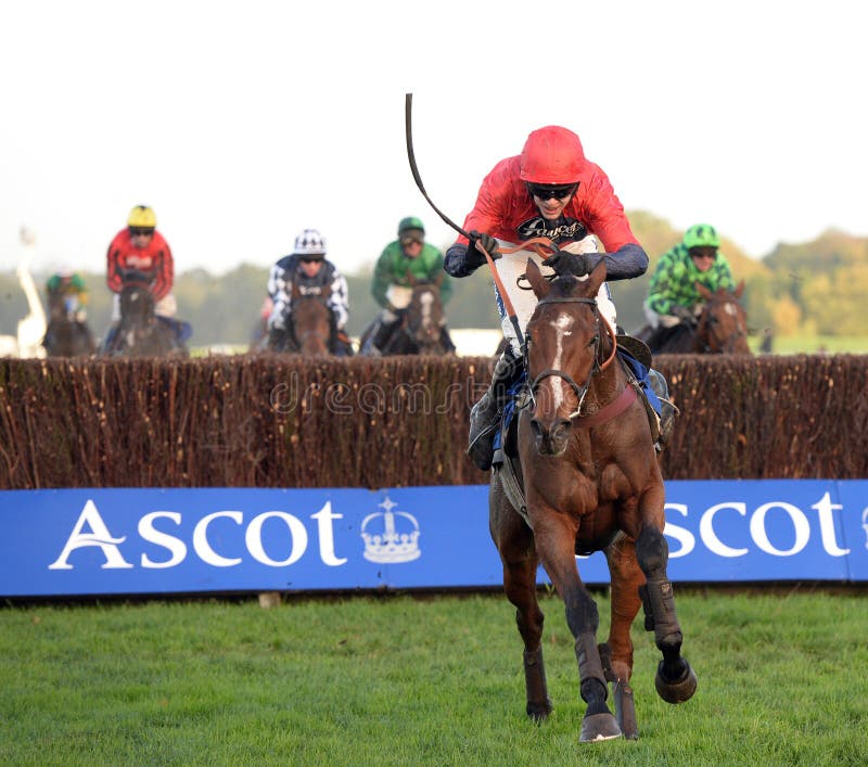 Houblon des obeaux on the run in on his way to winning at ascot 2-11-13. Houblon des obeaux on the run in on his way to winning at ascot 2-11-13