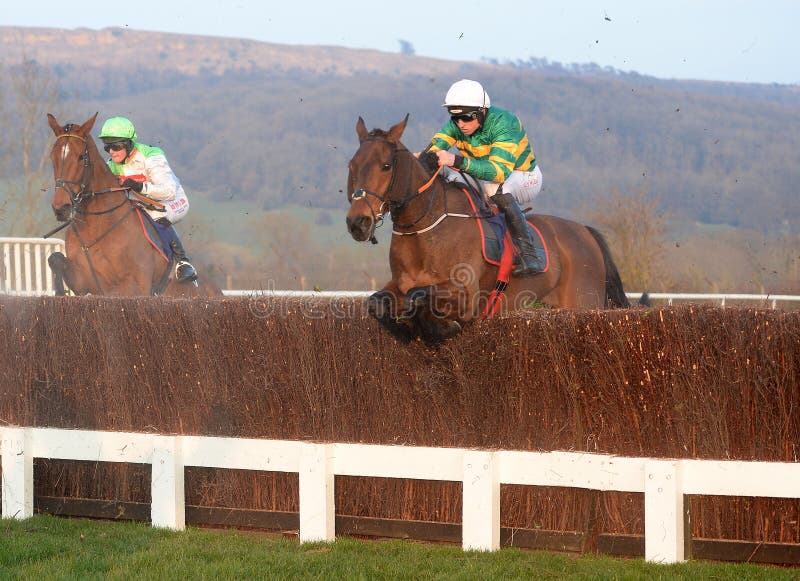 Horse Racing stock images Horse Racing stock images