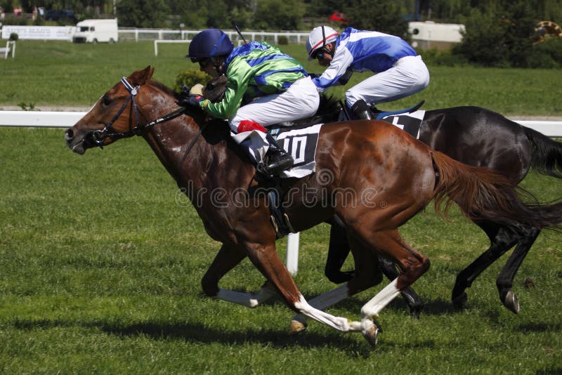 Horse Racing June Grand Prix in Prague Editorial Photography Image