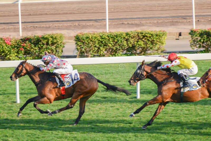 Jockey Stretches Arm To Whip Horses Editorial Image Image of green, gate 18122815