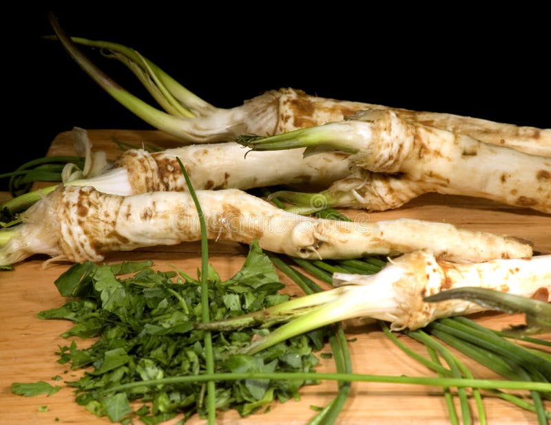 Horseradish stock photo. Image of vitamins, horseradish 4139396