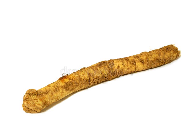 Horseradish stock image. Image of vegetarian, delicious 3968229