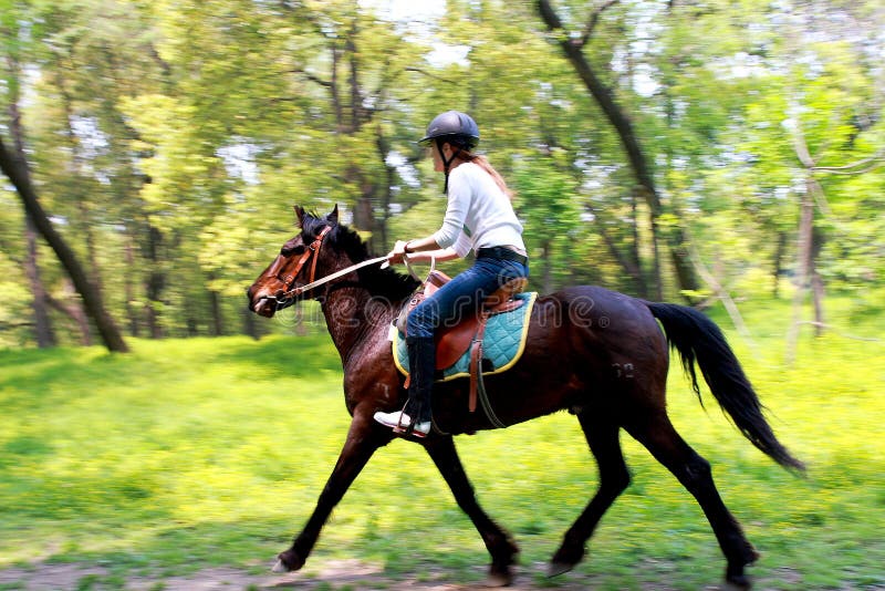 Horse rider stock photo. Image of people, jockey, recreational 4984746