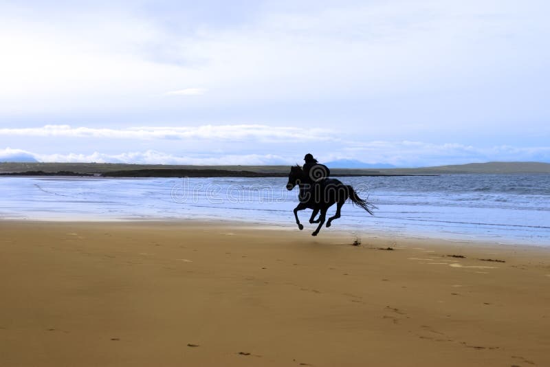 Horse and rider galloping along the coast