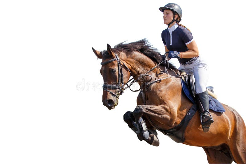 Horse rider girl jump isolated on white background