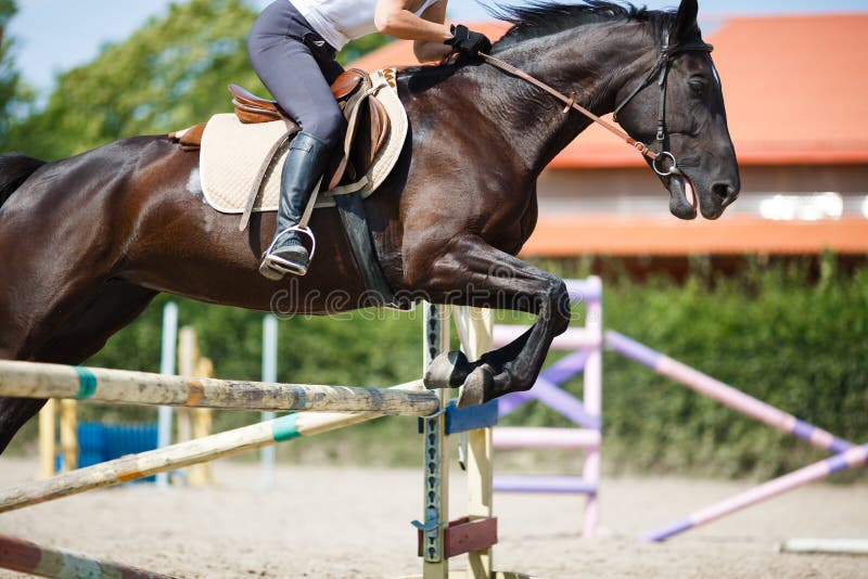 Horse rider jumping stock image. Image of beautiful, exercise 58431361