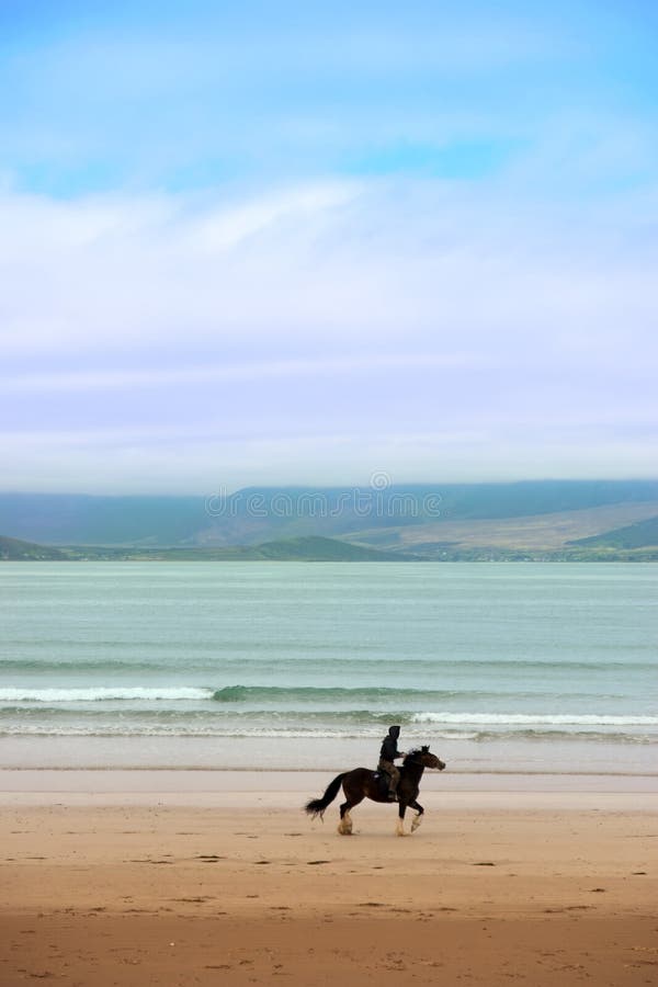 Horse and rider at the maharees stock photos Horse and rider at the maharees stock photos