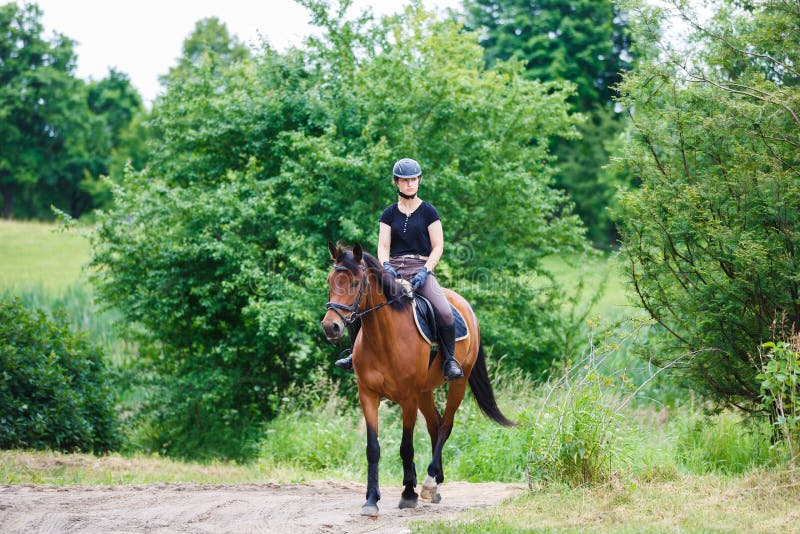 Horse Rider is Training in the Arena Stock Image Image of equestrian