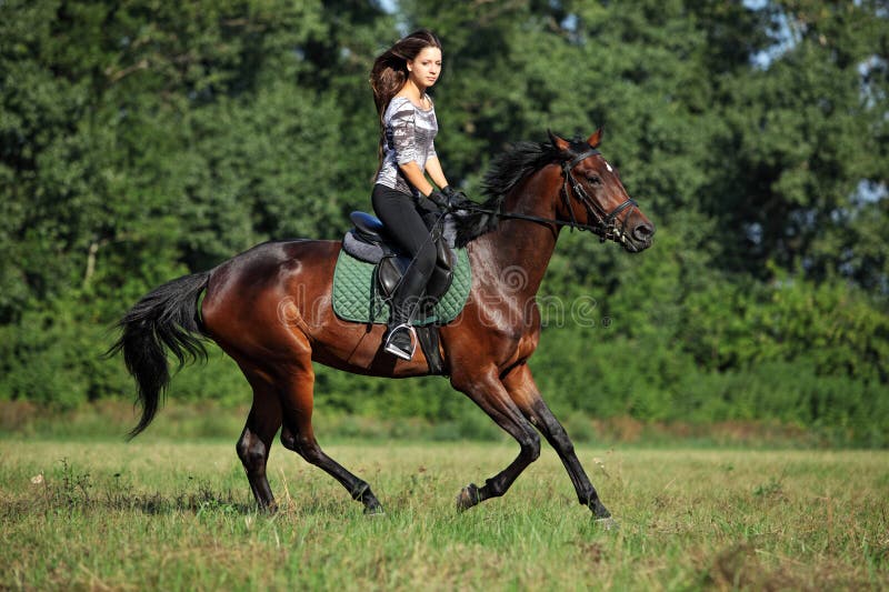 Horse rider on a trail stock image. Image of equestrian 64725837