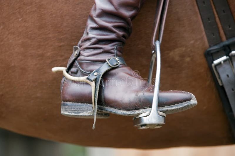Horse - Riding Boot royalty free stock photo