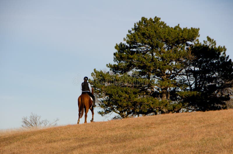 Horse riding in field